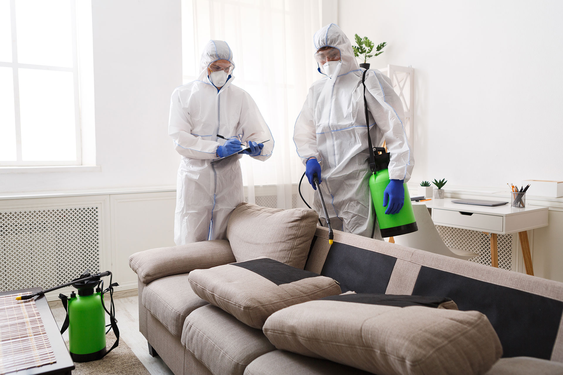 The Top 5 Common Pests in Clayton and How to Prevent Them