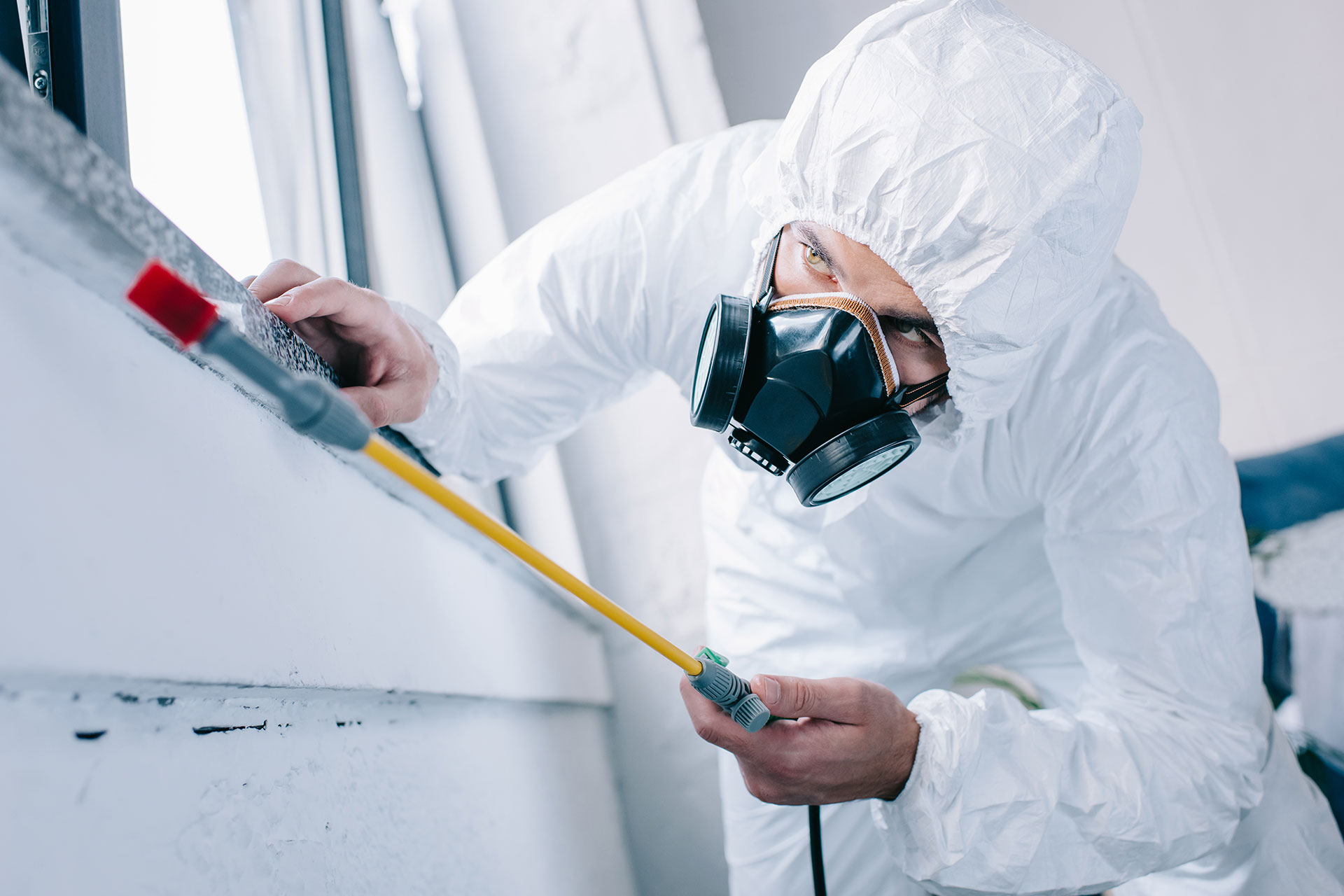How to Choose the Right Pest Control Service in Clayton